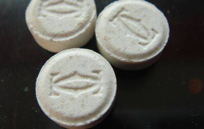 New drug warning over ‘Ninja Turtle’ and ‘Teddy Bear’ pills after Secret Garden Party - www.nme.com