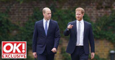 ‘It’s too late for Harry and William to reconcile,’ claims Revenge author Tom Bower - www.ok.co.uk - Hollywood - county Windsor