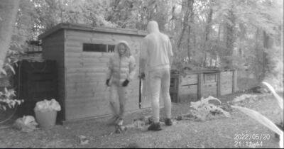 Video shows thugs smashing their way into shed in community garden - www.manchestereveningnews.co.uk - Manchester - county Garden - county Forest