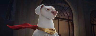 ‘DC League Of Super-Pets’ Review: DC Animated Content Remain Top-Tier - deadline.com - county Johnson - Guinea - county Hart - county Clark