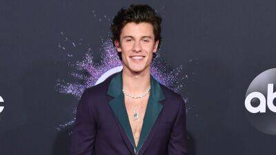 Shawn Mendes Cancels Remainder of Tour: 'I Have to Put My Health as My First Priority' - www.etonline.com - Britain