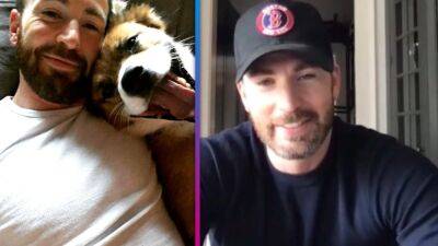 Meet Chris Evans' 'Long-Term Partner': His Adorable Dog Dodger! (Exclusive) - www.etonline.com