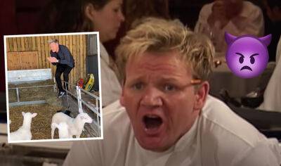 Gordon Ramsay Causes UPROAR After Eagerly Selecting A Lamb To Slaughter: 'Bro Has Officially Lost It' - perezhilton.com - USA