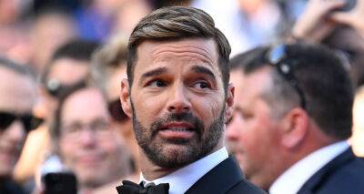 Ricky Martin Denies Allegations in Domestic Abuse Restraining Order - www.justjared.com - Puerto Rico - city Georgetown