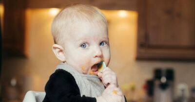 When do babies start using a highchair? Here's how you'll know it's the right time - www.manchestereveningnews.co.uk