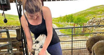 Our Yorkshire Farm star Amanda Owen breaks silence on 'distancing herself' before marriage split - www.msn.com - Britain - county Davis