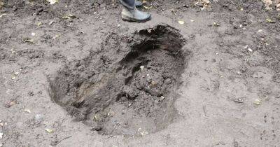 Police investigating after 'badger baiting' site found in woods - www.manchestereveningnews.co.uk - Manchester - county Hyde