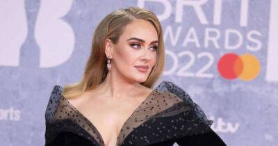 Adele would like to expand family - www.msn.com - Britain - USA
