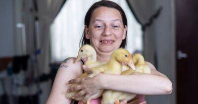 Mum delighted as eggs she bought in Morrisons hatch into cute pet ducklings - www.dailyrecord.co.uk - county Morrison