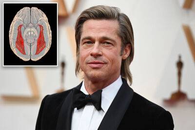 What is prosopagnosia? All about Brad Pitt’s face blindness condition - nypost.com - Britain
