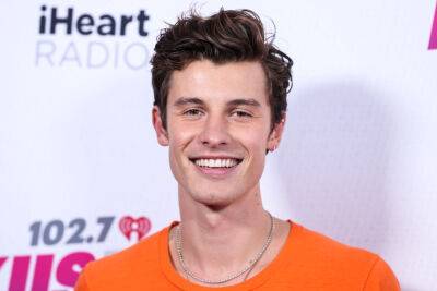 Shawn Mendes Gives Back With ‘Wonder Grants’ On World Tour - etcanada.com - USA - city Portland
