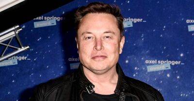 Elon Musk Seemingly Confirms He Welcomed Twins With Shivon Zilis - www.usmagazine.com - Texas - South Africa - county Wilson - county Grimes