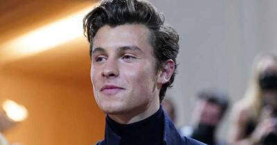 Shawn Mendes ‘looking for love on celebrity dating app Raya’ - www.msn.com - USA - Miami - Florida