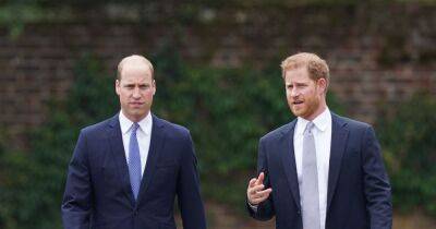 William and Harry 'kept in dark' over documentary investigating Diana's death - www.ok.co.uk - France - Paris