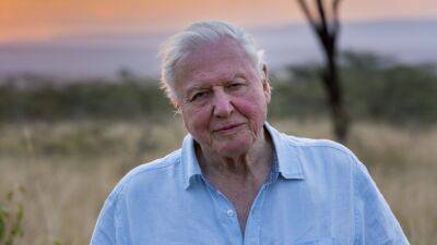 Sir David Attenborough Behind BBC Landmark ‘Wild Isles’ On British Wildlife From Silverback Films - deadline.com - Britain - France - county Somerset - Antarctica