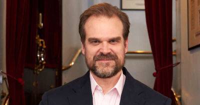 David Harbour says Mr Jones by Counting Crows would be his 'embarrassing' Vecna song - www.msn.com