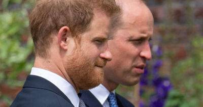 Officer investigating Princess Diana’s death recalls Prince Harry and Prince William chat - www.msn.com - Paris - USA