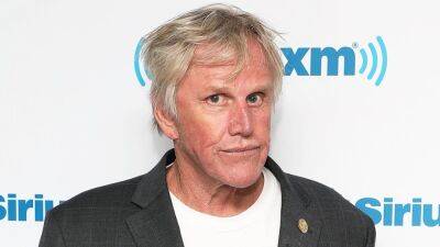 Gary Busey Arrested in New Jersey on 3 Counts of Sex Crimes - www.etonline.com - New Jersey - county Camden - county Cherry