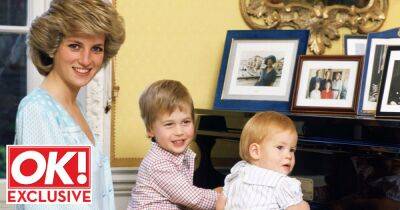 Down-to-earth Diana labelled naughty Wills and Harry 'a nuisance,' confidante reveals - www.ok.co.uk - Kentucky - county Norfolk - county Charles - city Sandringham, county Norfolk