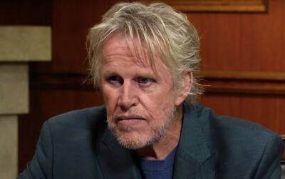 Gary Busey Hits Back At Sexual Assault Claims: 'It Was All False' - perezhilton.com - Malibu - New Jersey - county Cherry