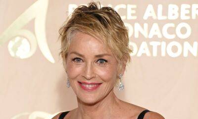 Sharon Stone's day by the pool has fans gushing over one adorable thing - hellomagazine.com - Italy - county Stone