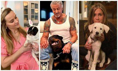 National Dog Day: Celebrities and their four-legged friends - us.hola.com