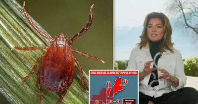 Tick-borne illnesses have increased 350% in rural America since 2007 - www.msn.com - state Maryland - North Carolina - state Maine - county Hopkins - state Vermont