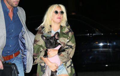 Lady Gaga dognapper sentenced to prison as alleged shooter, mistakenly release from jail, is rearrested - www.nme.com - France - Los Angeles