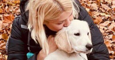 Holly Willoughby teases cute home feature she's planned for beloved dog Bailey - www.ok.co.uk