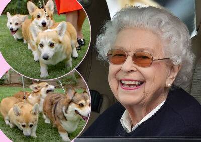 What Will Happen To Queen Elizabeth's Corgis?? - perezhilton.com - Britain - city Sandy