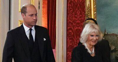 Prince William offers Queen Camilla a steadying hand in sweet moment at proclamation - www.ok.co.uk