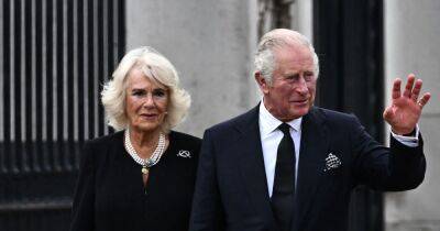 Camilla has stepped into her role with ‘extraordinary grace’ but it ‘has not been easy’ - www.ok.co.uk - county King George - county Buchanan