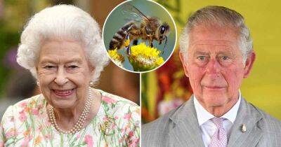 Queen Elizabeth II’s Bees Informed That King Charles III Is Now the New Monarch: Inside the Unusual Tradition - www.usmagazine.com