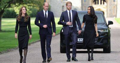Prince William 'acted as peacemaker and invited Harry and Meghan to Windsor walkabout to show unity' - www.manchestereveningnews.co.uk