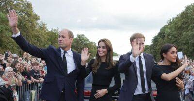 William and Harry's 'extended negotiations' delayed walkabout by 45 minutes - www.ok.co.uk