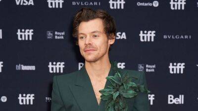 Harry Styles Details Playing a Closeted Gay Man in 'My Policeman' - www.etonline.com - county Patrick - county Marion