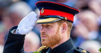 Why Can’t Prince Harry Wear His Military Uniform? A Breakdown of When and Why He Lost His Titles and More - www.usmagazine.com