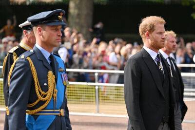 Prince Harry And Prince William Walk Behind Queen Elizabeth II’s Coffin As It Leaves Buckingham Palace - etcanada.com - Britain - county Hall - county Prince Edward