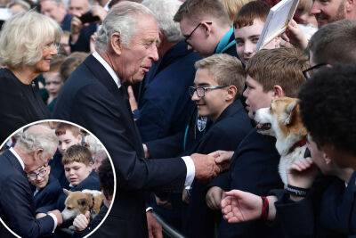 Sweet moment King Charles III meets corgi as he greets well-wishers - nypost.com - county King George
