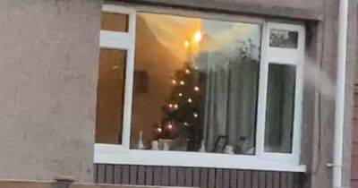 Scots radio DJ 'gobsmacked' after driving past house and spotting Christmas tree - www.dailyrecord.co.uk - Scotland