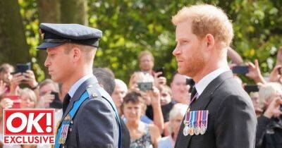 “Seeds of reconciliation between William and Harry but a rocky path ahead” - www.ok.co.uk - USA