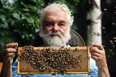 Royal beekeeper tasked with informing queen’s bees of her death - nypost.com - county Buckingham