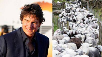 Tom Cruise's 'Mission: Impossible 8' set interrupted by a flock of sheep - www.foxnews.com - Lake - county Hunt