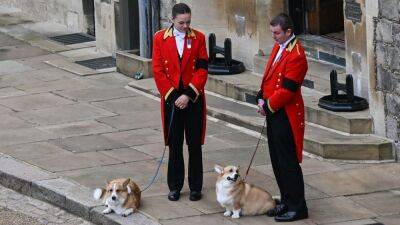 Queen Elizabeth's Corgis Said Goodbye to Her in the Sweetest Way - www.glamour.com - city Sandy