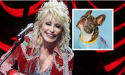 Dolly Parton launches pet collection for a good cause: ‘Doggy Parton’ - us.hola.com