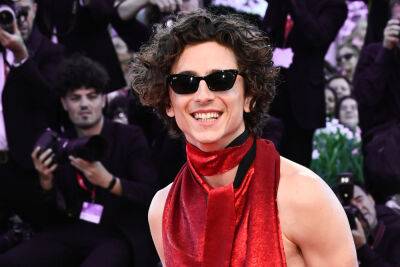 Timothée Chalamet Stuns In Venice With Amazing Red Backless Look - etcanada.com - city Venice