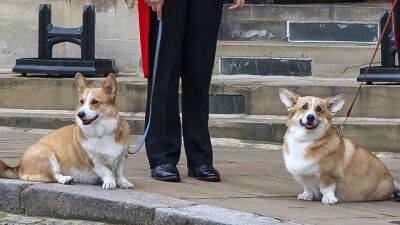 Here’s Which Royal Is Inheriting Queen Elizabeth’s Corgis After Her Death - stylecaster.com - city Sandy - county Andrew - county King George