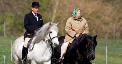 Queen's head groom heartbreakingly reveals her pony Emma had 'sixth sense' Her Majesty wouldn't ride her again - www.ok.co.uk