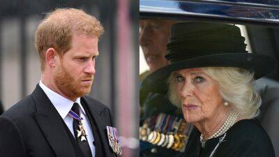 Prince Harry and Camilla, once close, are 'distant' amid bombshell book expected to rock palace: royal expert - www.foxnews.com - Britain