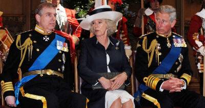 Prince Andrew 'lobbied hard' to stop Charles becoming king, claims royal insider - www.msn.com - county Prince Edward - county Santa Cruz